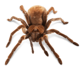 A-dreamstime_xxl_7936809_fkofyi