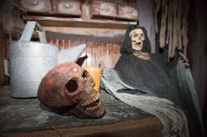 dt.common.streams.StreamServer.cls