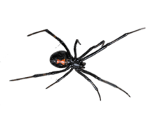 f7632c5ffcbedbbe464fed421839204d